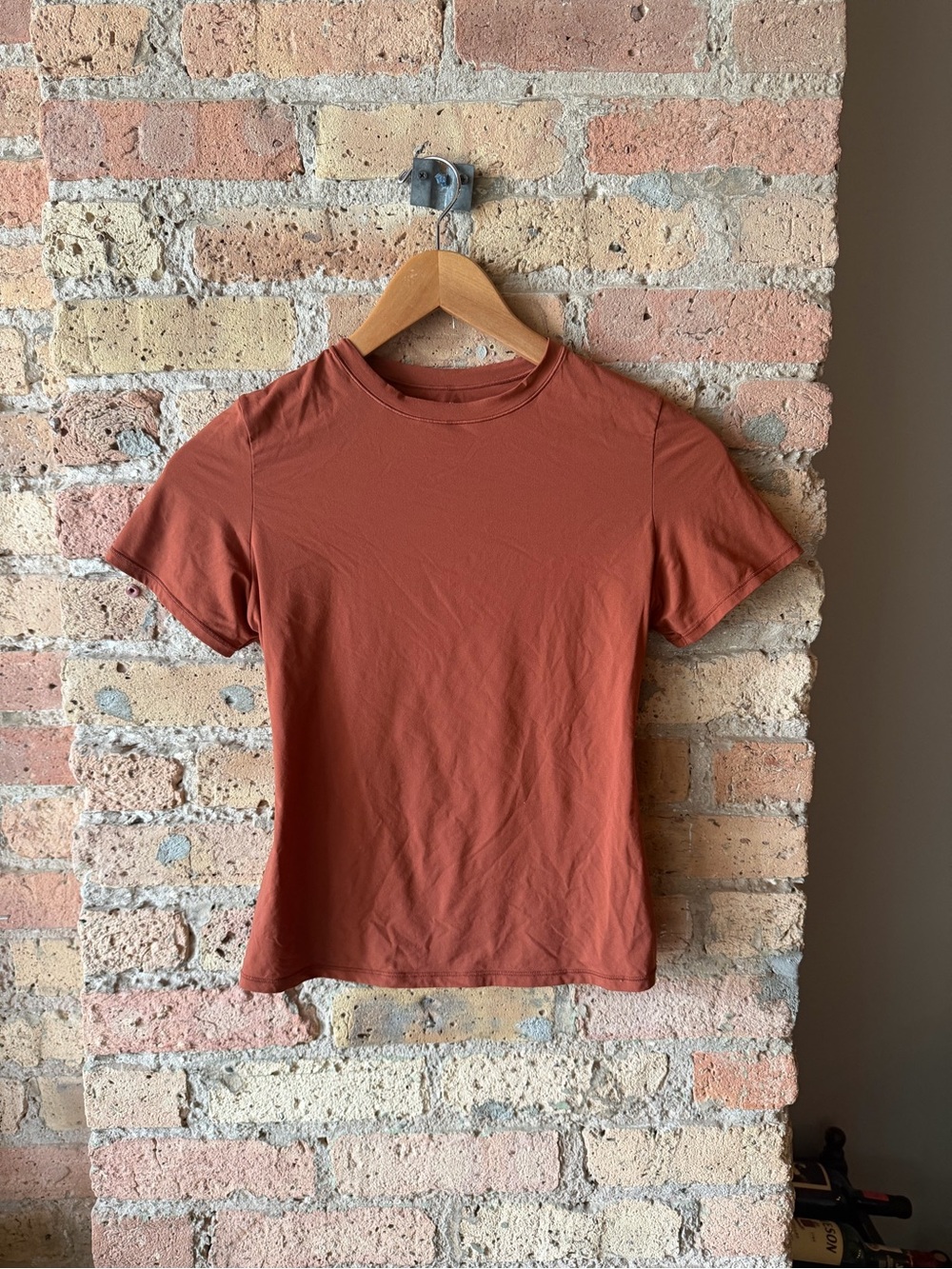Skims Tee Rust M
